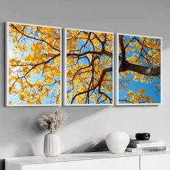 Conjunto Quadros Modernos Com Moldura De Madeira Ipê Amarelo