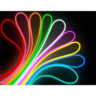 Fita LED Neon Flexível 5 Metros Mangueira IP65 à Prova d’Água, Com ou Sem Fonte de Energia