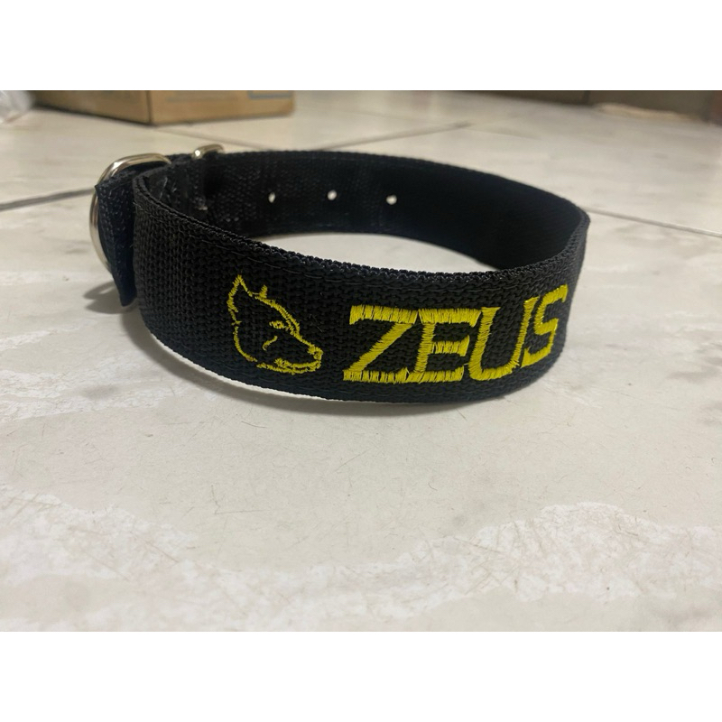 coleira pra cachorros grande personalize