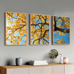Quadros Grande Luxuoso Sala Moldura 50X70 cm Ipê Amarelo