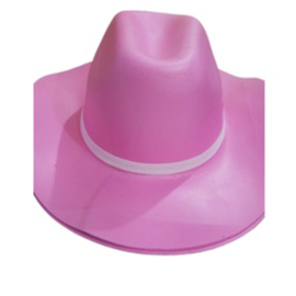 chapeu de eva rosa cawboy de boiadeira
