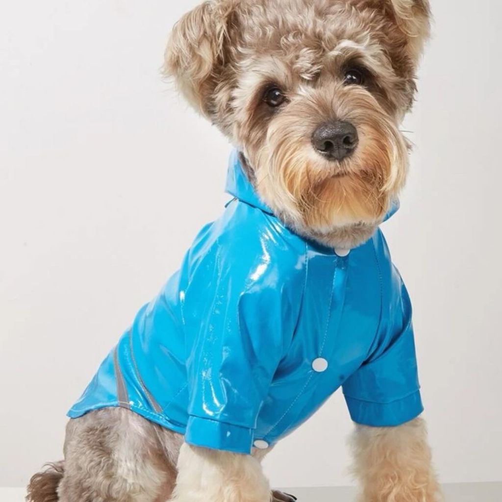 Capa de chuva pet azul para cachorro e gato