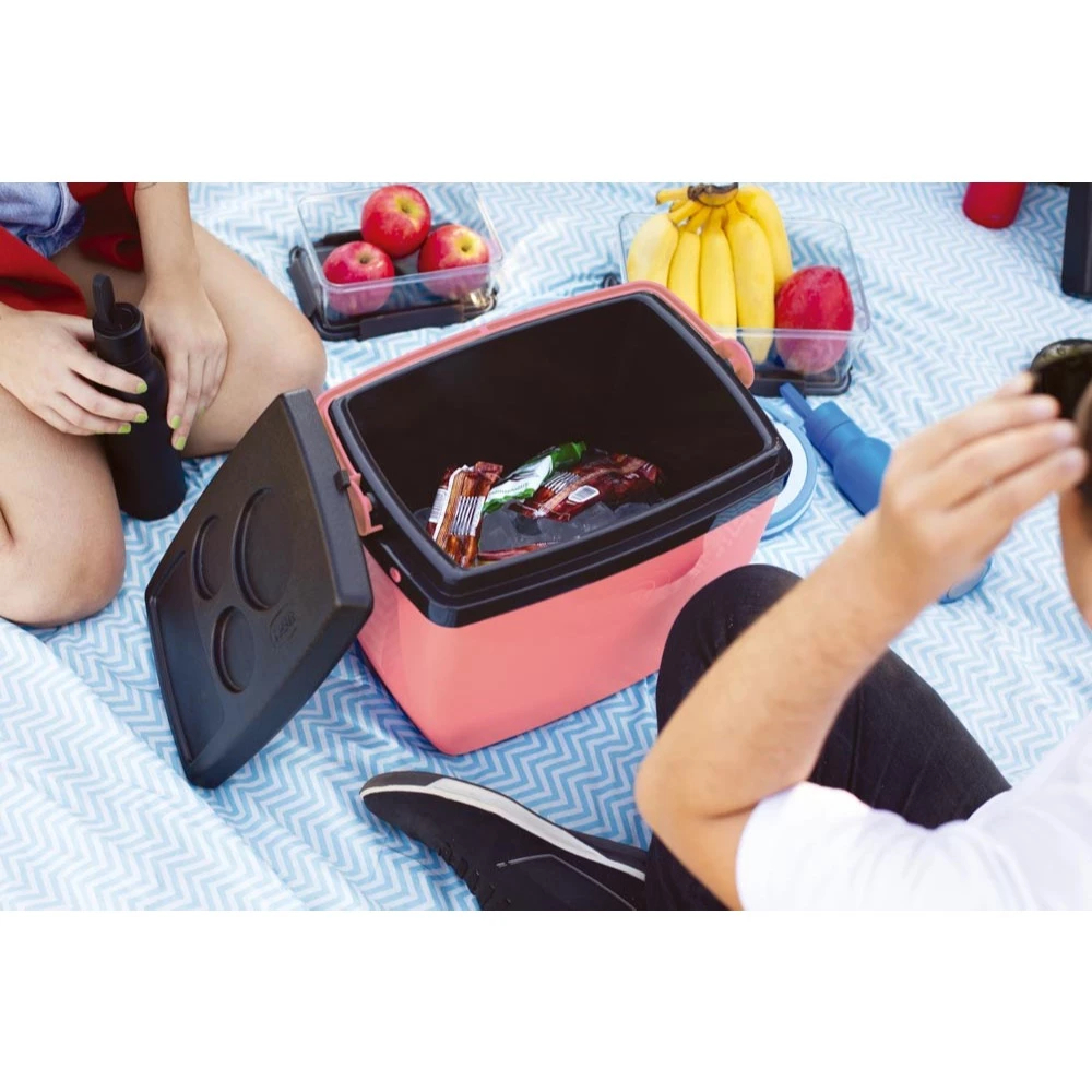 Cooler MOR 6L Caixa Térmica com Tampa de Alça para Bebidas Geladas Lanche Sanduiche na Praia e Verão em Oferta na Shopee