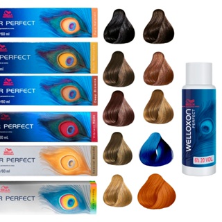 Escolha a cor | Coloração Color Perfect + Oxidante 20 Welloxon | Wella Professionals em Oferta na Shopee