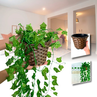 Planta Decorativa + Vaso Trançado Marrom 3 Pendentes Artificial Folhas de Hera Begonia Ji…