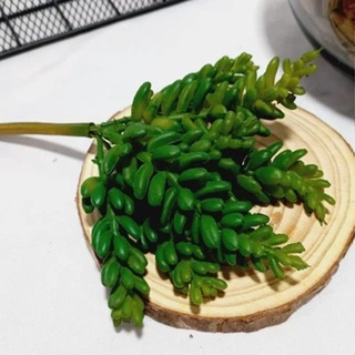 Crassula avulsa / solta artificial Suculenta Decoração , Arranjos, Decorar Festas Jardim-LMM802254 em Oferta na Shopee