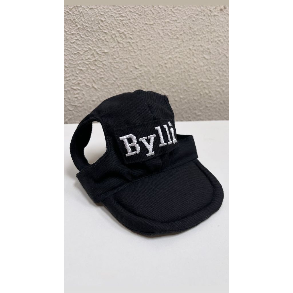 BONÉ PET COM NOME OU INICIAL PERSONALIZADO SOB ENCOMENDA em Oferta na Shopee