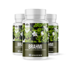 Kit 3 Frascos - Brahmi ( Bacopa Monnieri ) 500 Mg - 60 cápsulas