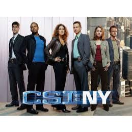 Dvd Csi Nova York: Onde Comprar | BuscaProdutos