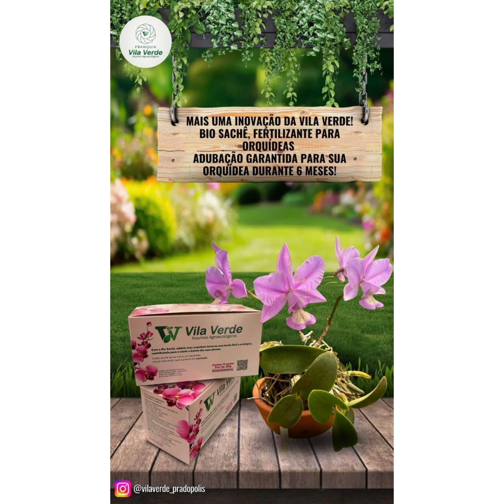 Bio Sachê Fertilizante Orgânico para Orquídeas Vila Verde caixa com 10 unidades