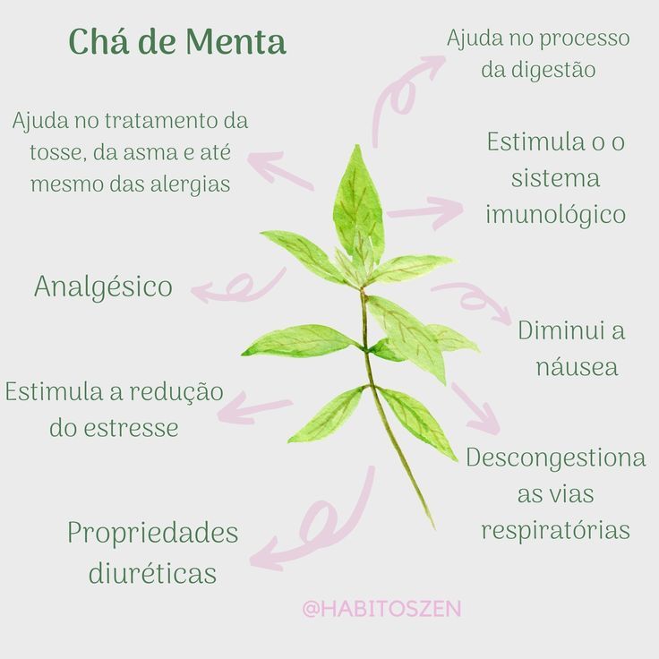 Folha de Menta 50gr — imagem 2 de 2