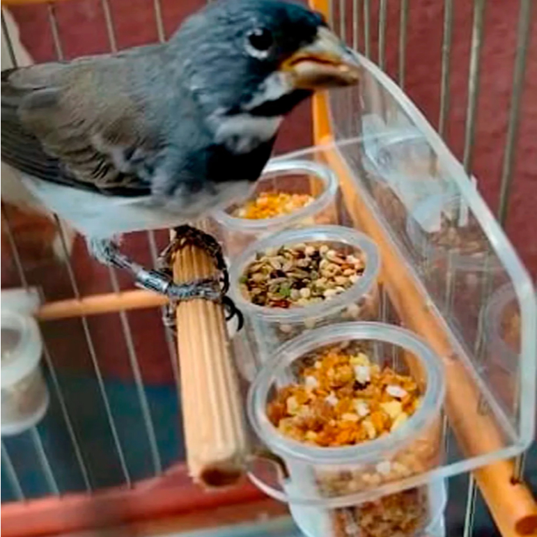 Comedouro Para Passaros Canto Classico N2 e N3 - Injetfour