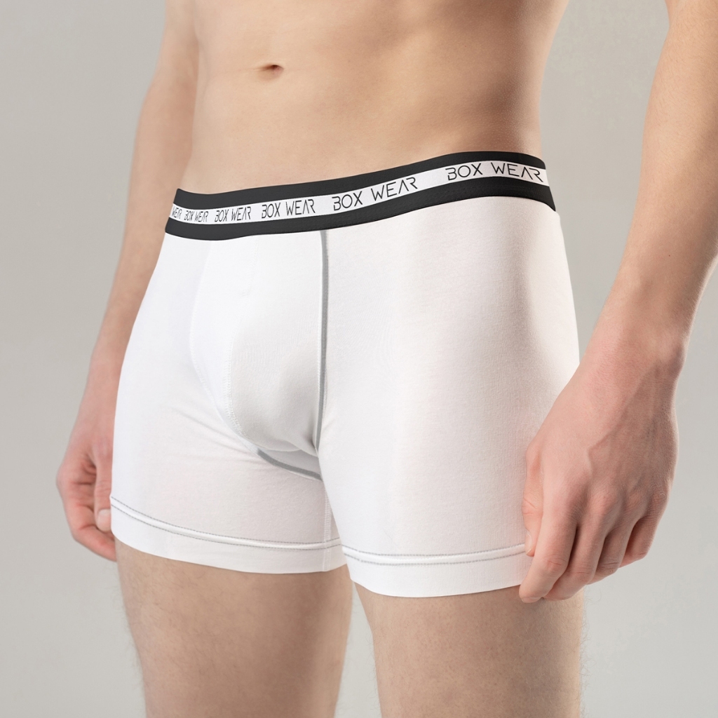 Cueca Boxer Masculina Kit 12 Peças Microfibra Cueca Box Sem Costura Adulto Envio Imediato