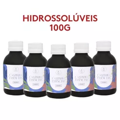 Essência Hidrossolúvel 100g à Base de Água. Para Difusor, Aromatizador elétrico, Umidificador de Ambientes...