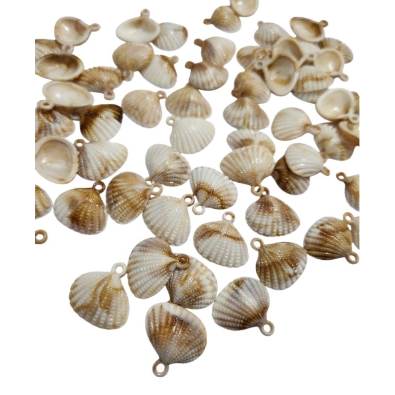 Conchas do Mar 19x19.5mm 50 Peças. em Oferta na Shopee