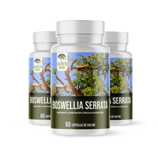 Kit 3 Frascos - Boswellia Serrata ( Extrato 100% Natural ) 500 Mg - 60 cápsulas em Oferta na Shopee