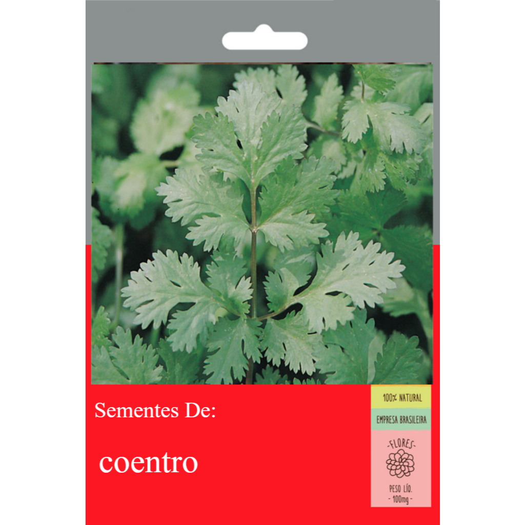 30 Sementes Coentro (Verdao Super) Verdao em Oferta na Shopee