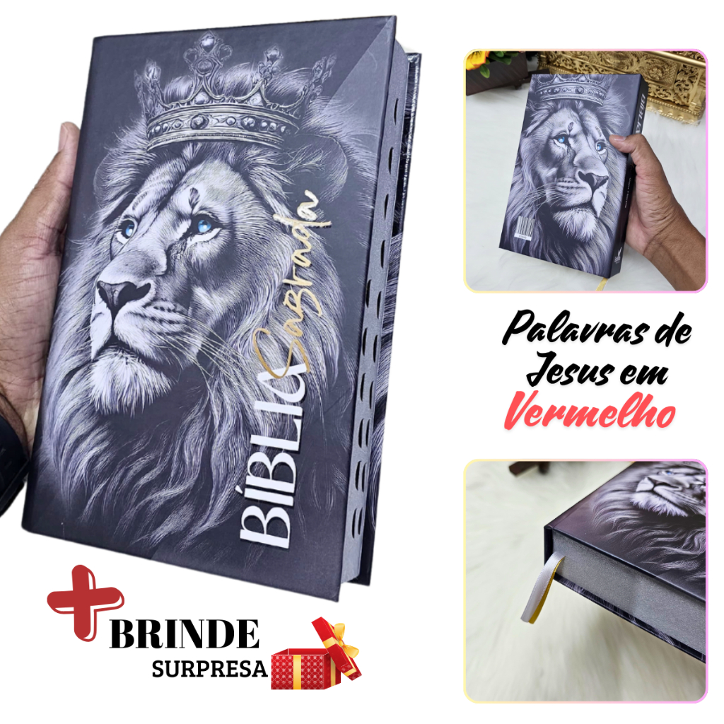 Bíblia Jovem Feminina com Harpa: Onde Comprar | BuscaProdutos