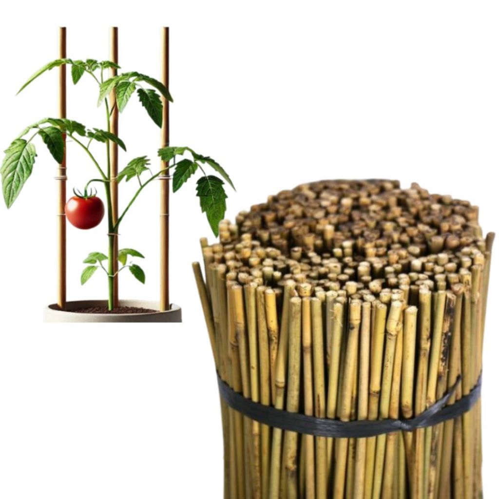 Kit 5 Peças de 1 Metro - Estacas de Bambu Natural para Horta e Jardinagem - Tratadas e Resistentes em Oferta na Shopee