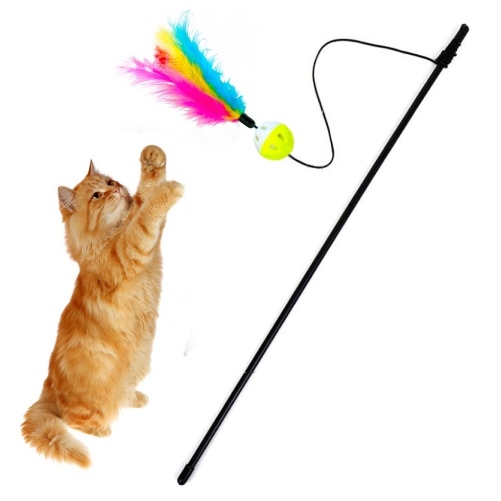 Varinha Cat Pena Gato Brinquedo Interativo Vara Divertida Diversos Modelos a Escolher em Oferta na Shopee