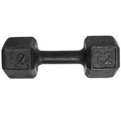 Halter Dumbbell Sextavado Pintado 12Kg Peso de Academia Para Treino Em Casa E Musculação