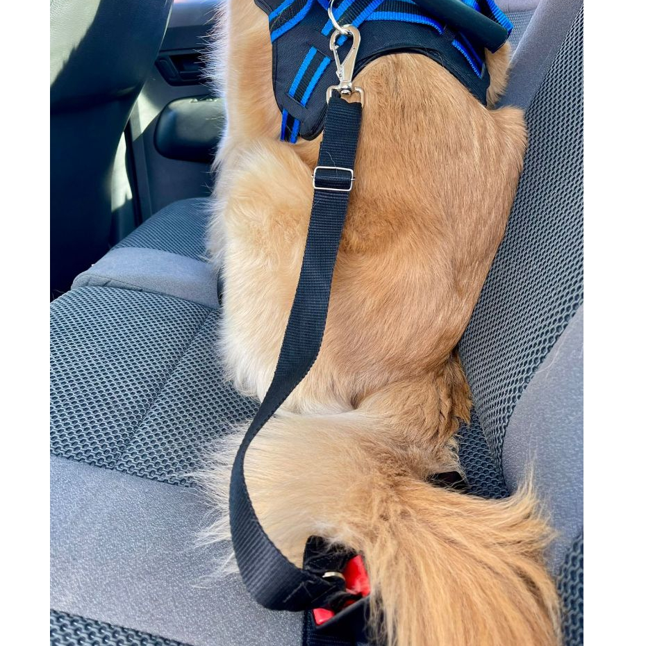 Cinto de segurança pet universal para cães e gatos