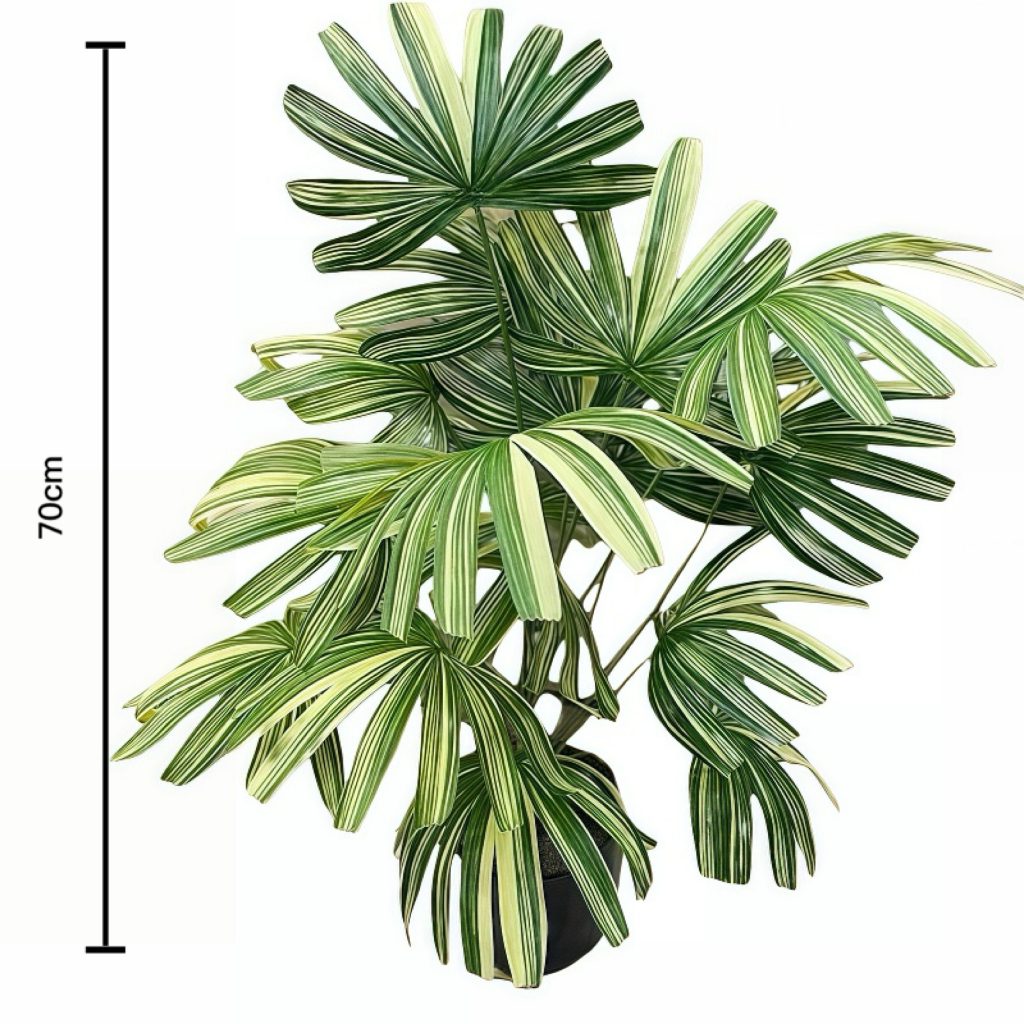 18 Folhas Planta Artificial Palmeira Raphis Real Toque