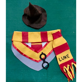 Bandana + chapéu bruxo harry potter fantasia carnaval para cachorro e gato pet em Oferta na Shopee