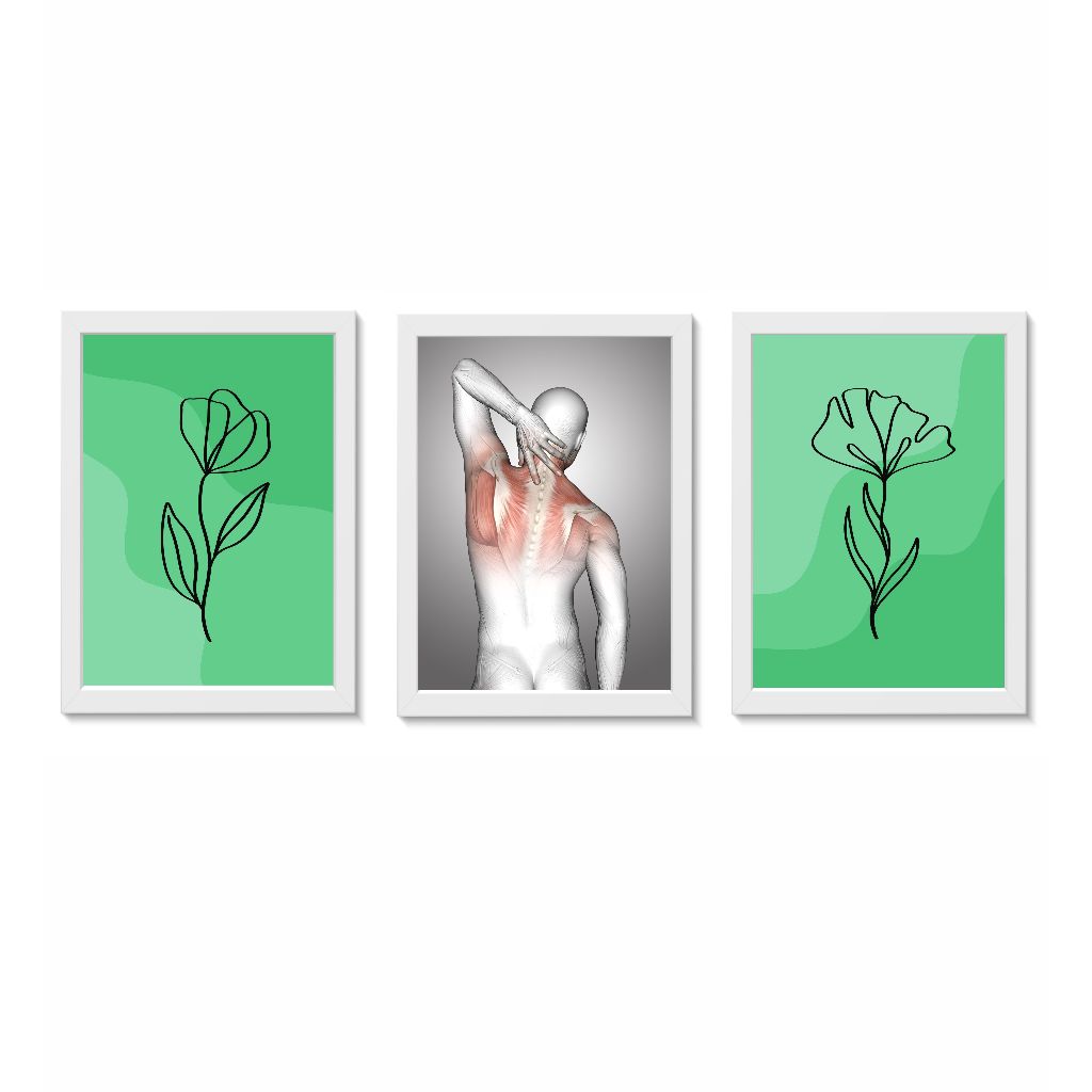 Kit 3 Quadros Decorativos Sistema Muscular dos Ombros Decoração Consultório Médico Ortopedia Fisioterapia Molduras