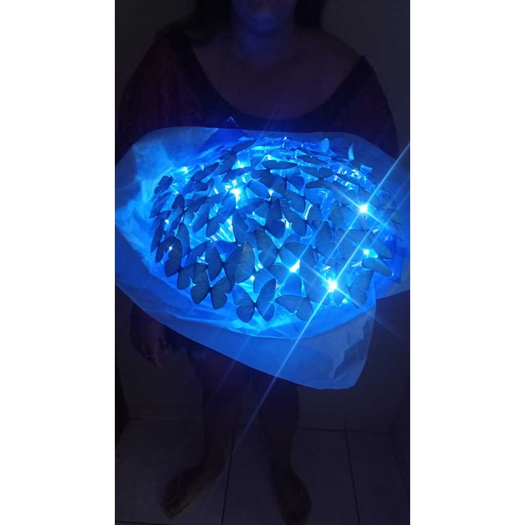 Buque de borboletas grande