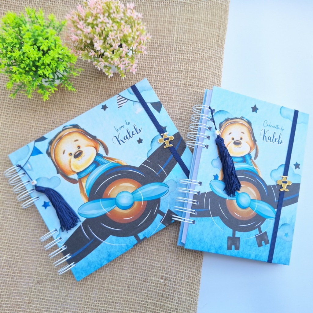 Livro do bebê - Ursinho aviador