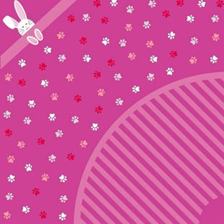 25~100 Sacos Express P/OVO DE PÁSCOA COELHOS PATINHAS ROSA , OVOS DE 500g 750g 1000g - 44X44cm INOVE em Oferta na Shopee