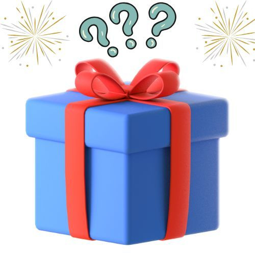 Produtos misteriosos 100% novos enviados sortidos sandálias e rastreiras feminino adultos . MEGA PROMOÇÃO MISTERIOSA.