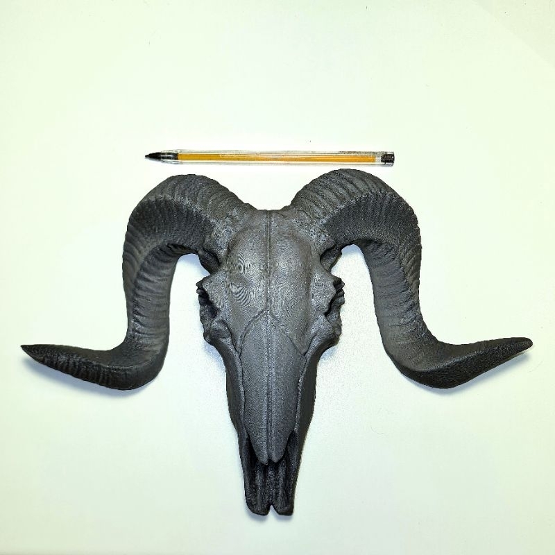 Caveira bode/ Goat skull Crânio de Carneiro Decorativo em Impressão 3D – Estilo Rústico e Imponente para sua Parede