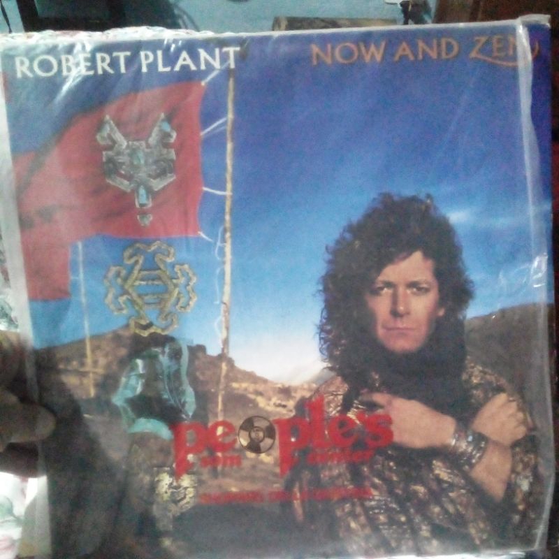 Disco Vinil Robert plant Now And Zen