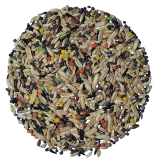 Mistura Canário Premium 10kg (2 unidades de 5 kg) - Top Bird. em Oferta na Shopee