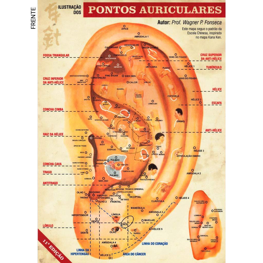 Mapa Ilustração dos Pontos Auriculares A4 Plastificado Prof Wagner P. Da Fonseca Auriculoterapia Chinesa
