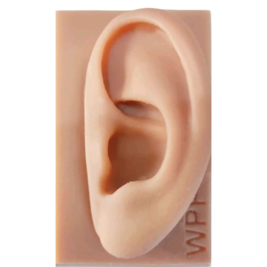 Modelo Orelha Silicone Acupuntura Auricular Prof Wagner P. Da Fonseca Auriculoterapia