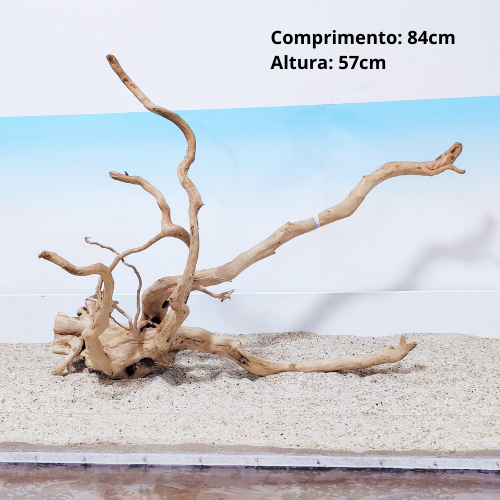 Raiz Tronco Natural 60cm a 1,15m Para Aquário Plantado Grande e Lago - Artigos para aquário