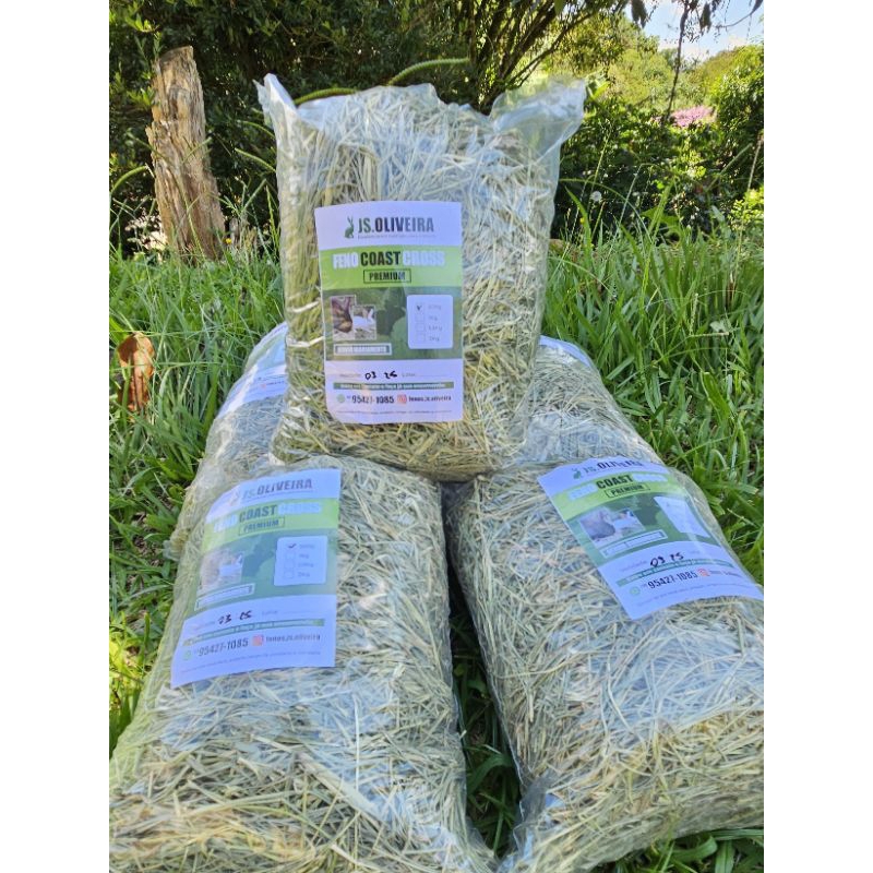 5KG de Feno Tifiton Premium, para coelhos, porquinhos da índia, etc...