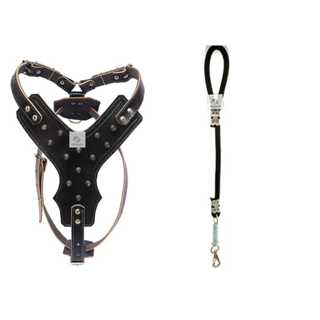 Peitoral Cravo Luxo +guia de corda grossa com mosquetão grande e amortecedor ante puxão em Oferta na Shopee