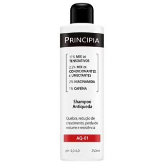 Shampoo Antiqueda Principia AQ-01 em Oferta na Shopee