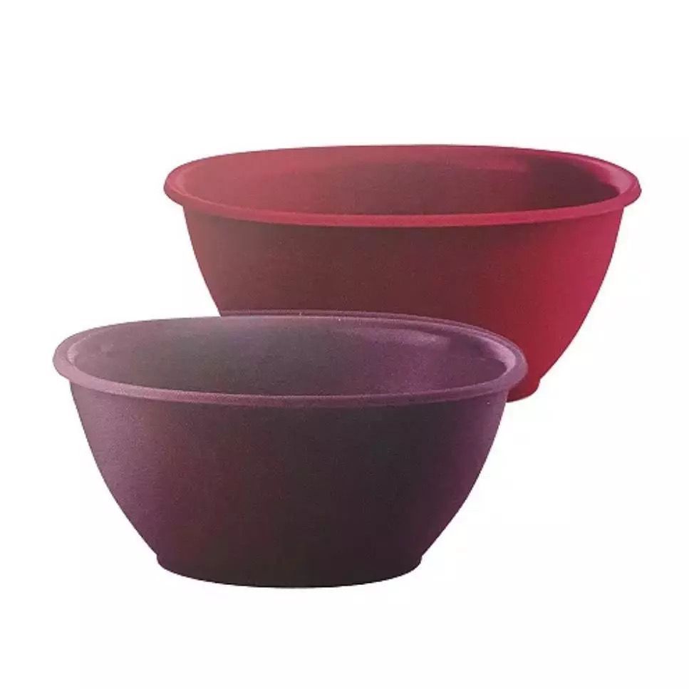 O que é Tigela Actualité Tupperware? Guia e Onde Comprar | BuscaProdutos