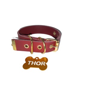 COLEIRA PERSONALIZADA NOME E TELEFONE em Oferta na Shopee