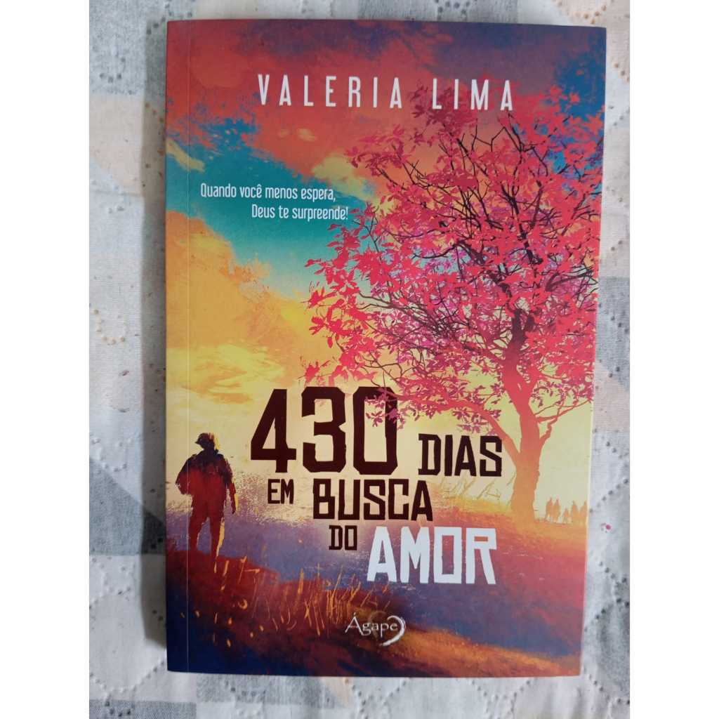 Livro "430 Dias em Busca do Amor"