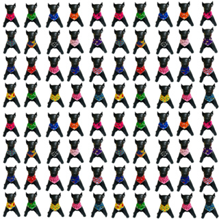 kit 100 bandanas para banho e tosa pet shop em Oferta na Shopee