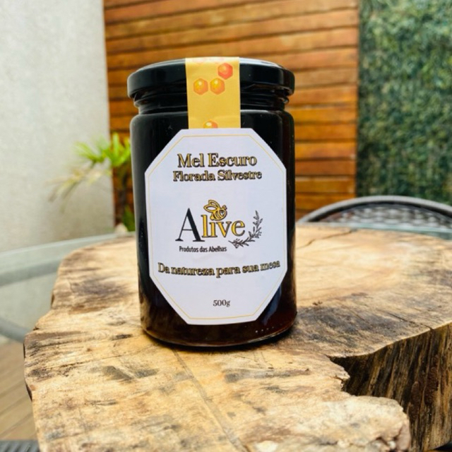 Mel Escuro Florada Silvestre Puro e Cru pote vidro 500g ideal para remédios e cha’