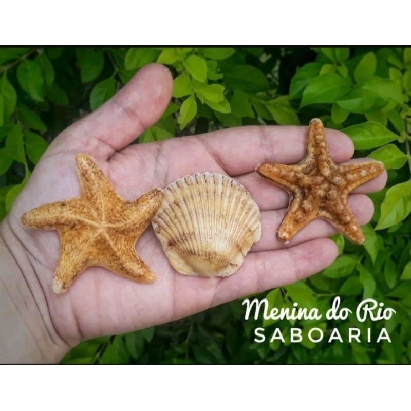 Sabonete fundo do mar (20 unidades)