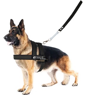 Coleira Peitoral Guia Com Mola Porte Médio Grande em Fita e Veludo Super Reforçada em Oferta na Shopee