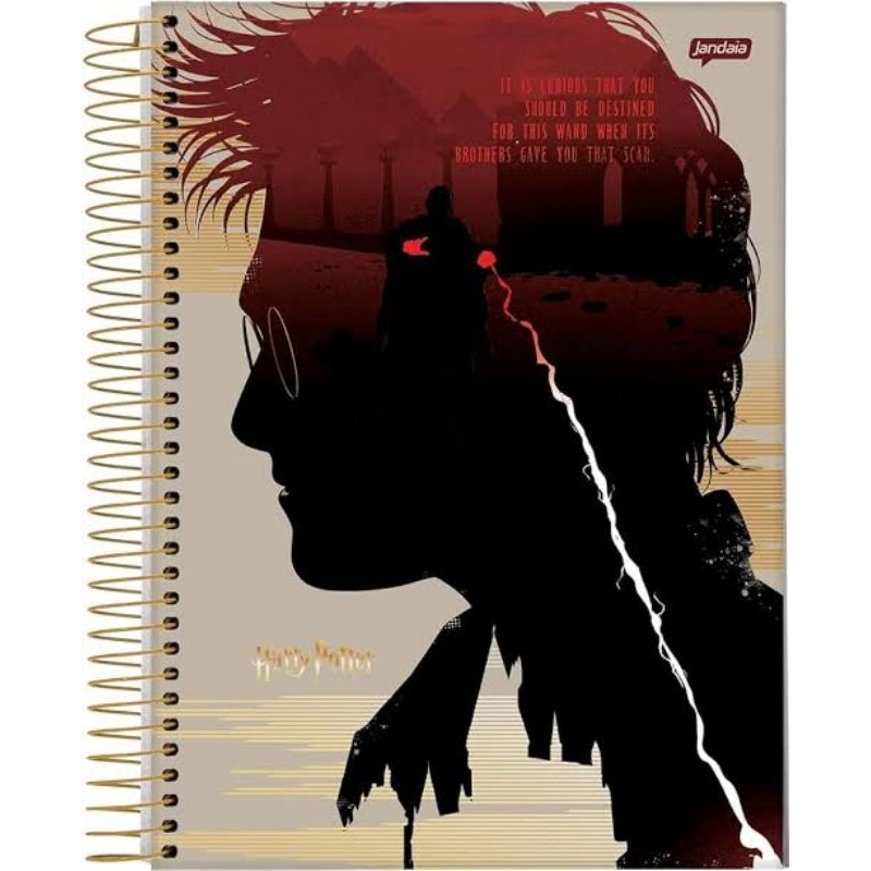 Caderno Universitário - Harry Potter-CD 80 folhas ou 96 folhas-1 Matéria